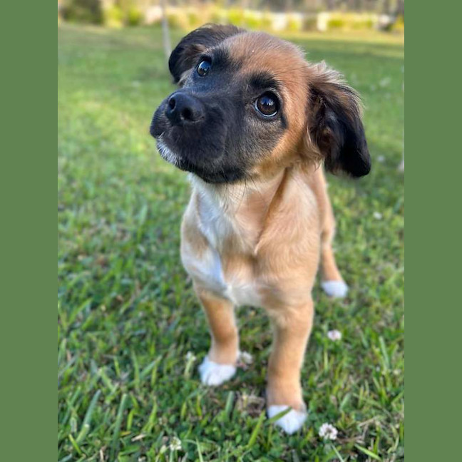Photo of Maggie