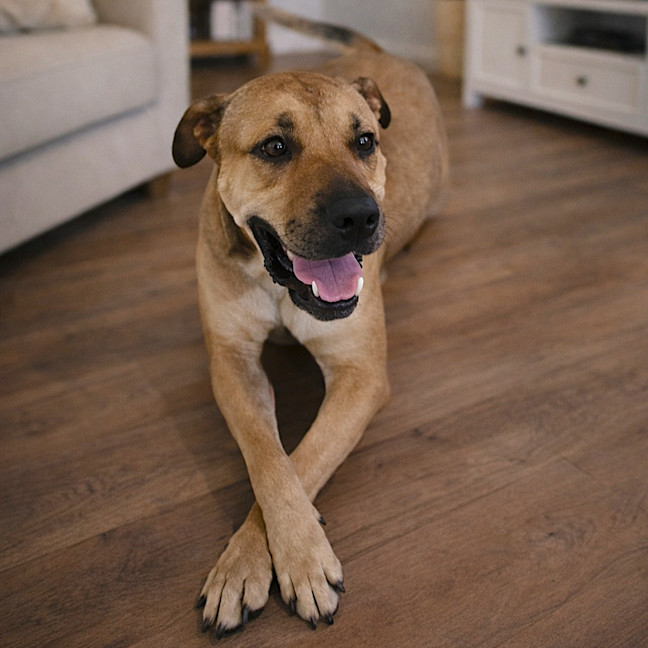 Photo of Ruby