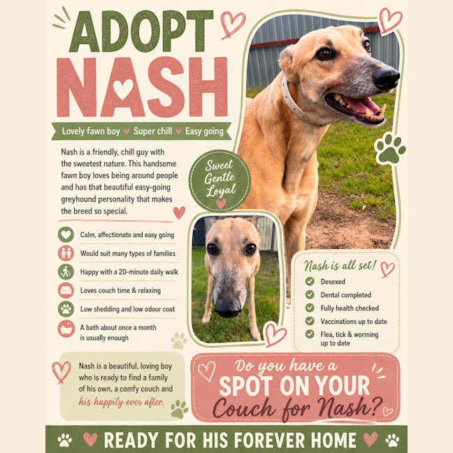 Photo of Nash
