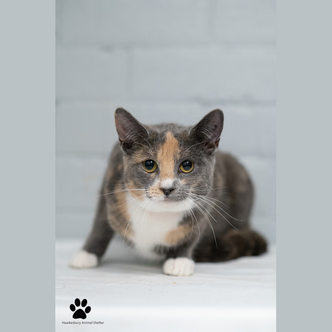 Photo of Chloe