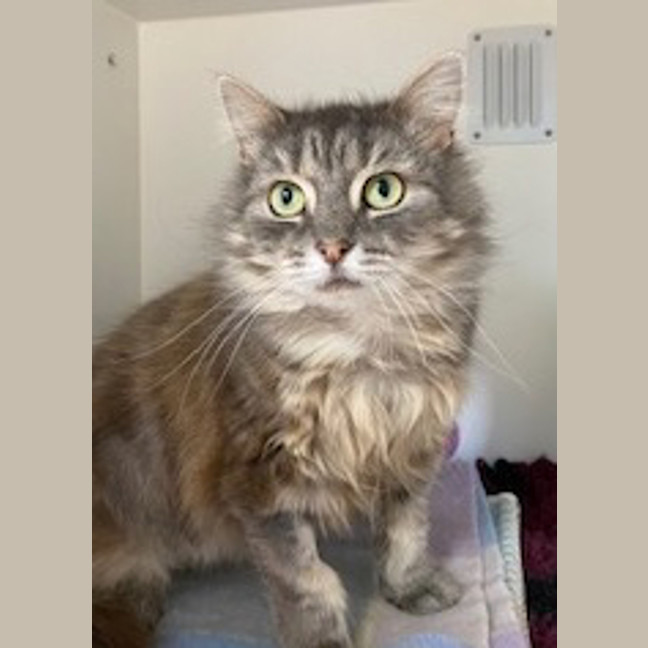 Photo of Winifred