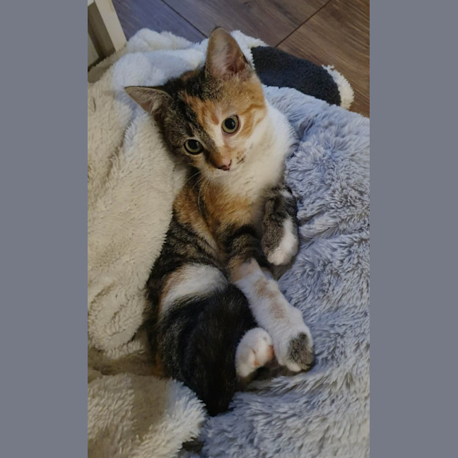 Photo of Nora