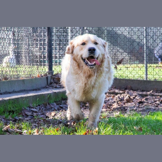 Photo of Sarrh Falko 