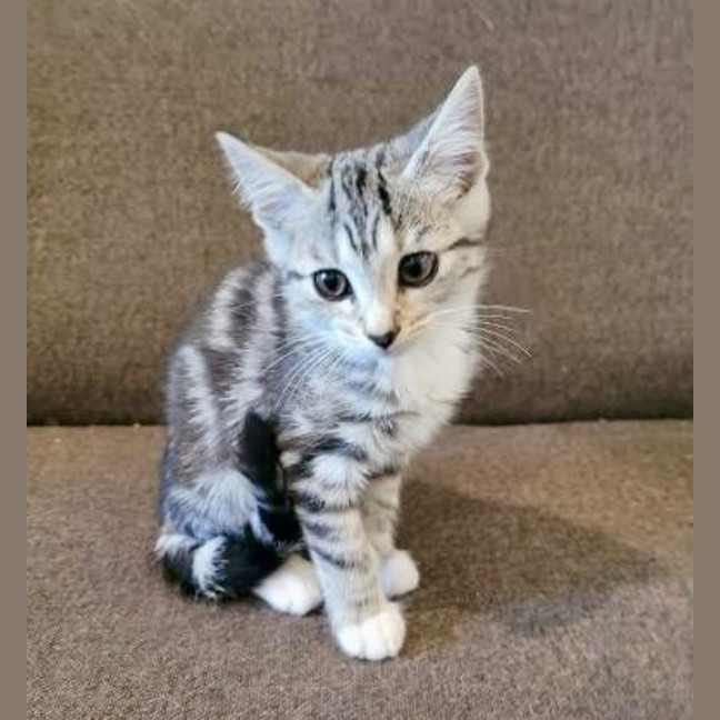 Photo of Mildred