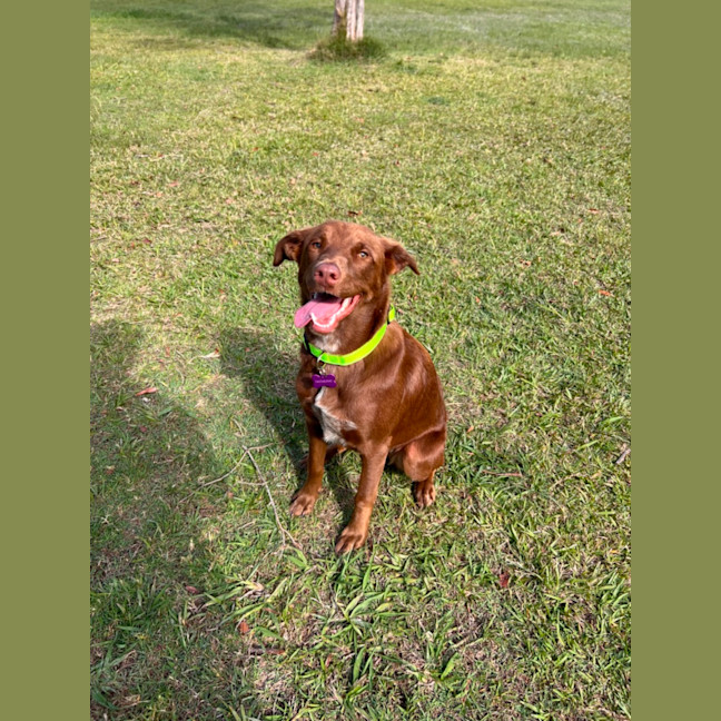 Photo of Remi