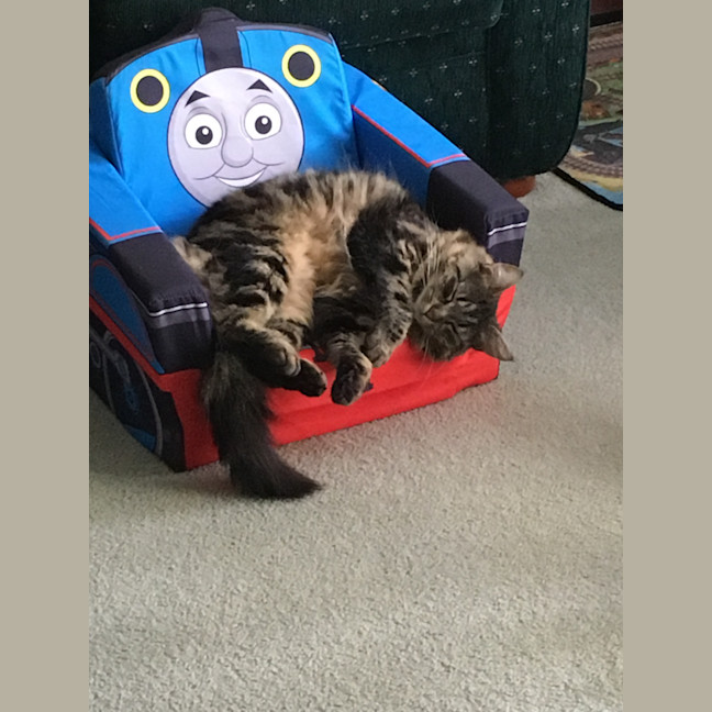 Photo of Hazel