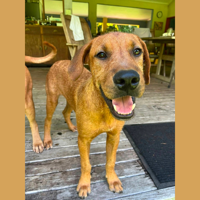 Photo of Clifford Aka Cliffy