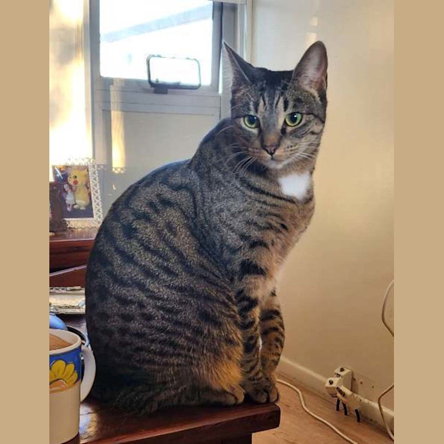 Photo of Mavis