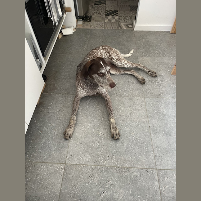Photo of Daisy