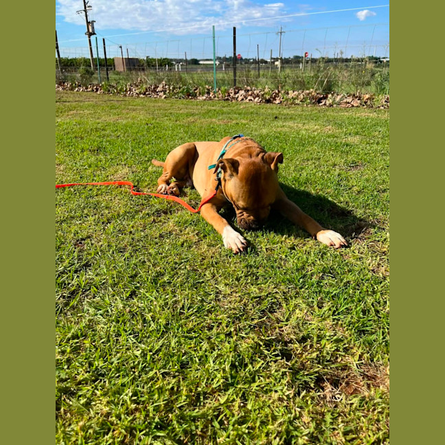 Photo of Zuko