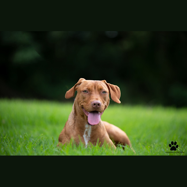 Photo of Sally
