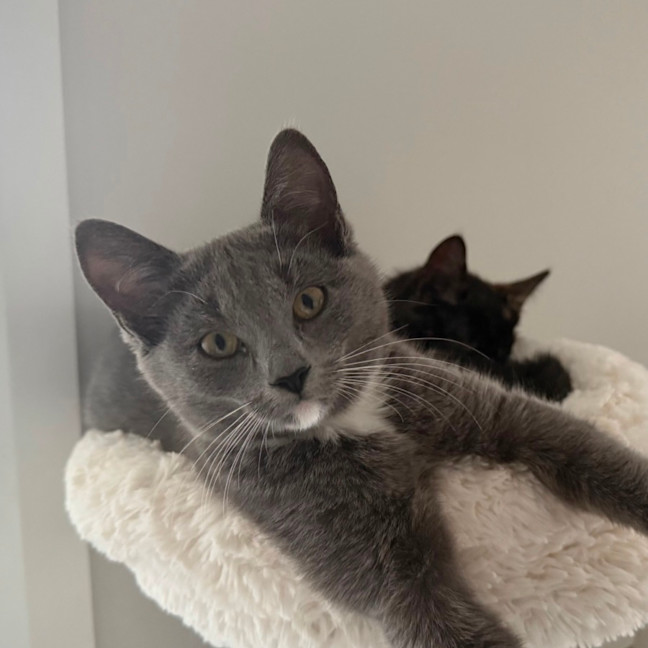 Photo of Arya 🪻💜