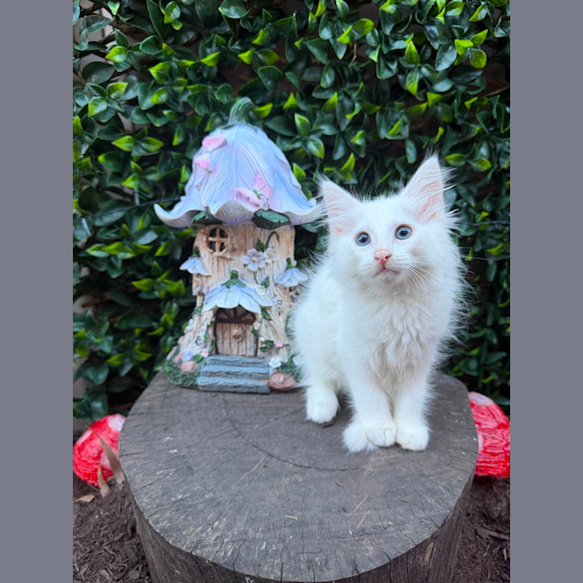 Photo of Avery