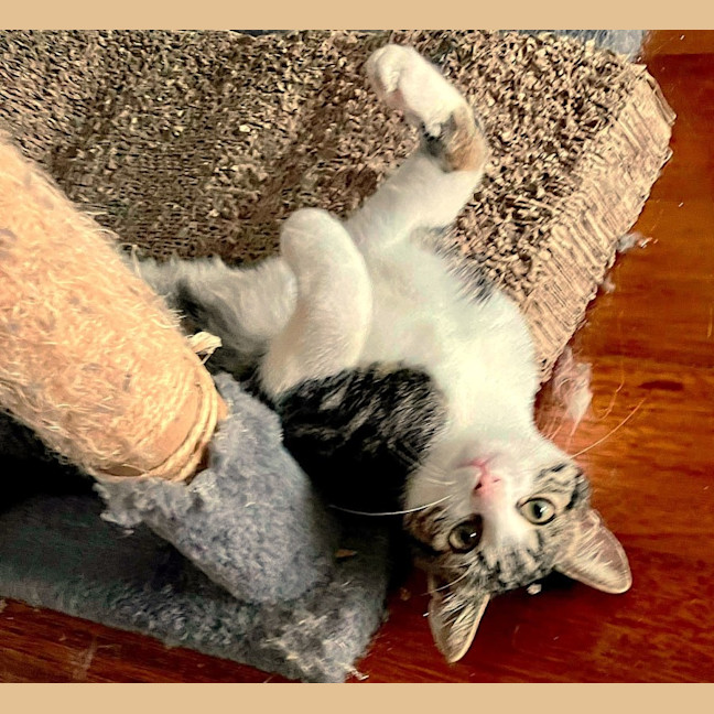 Photo of Francine