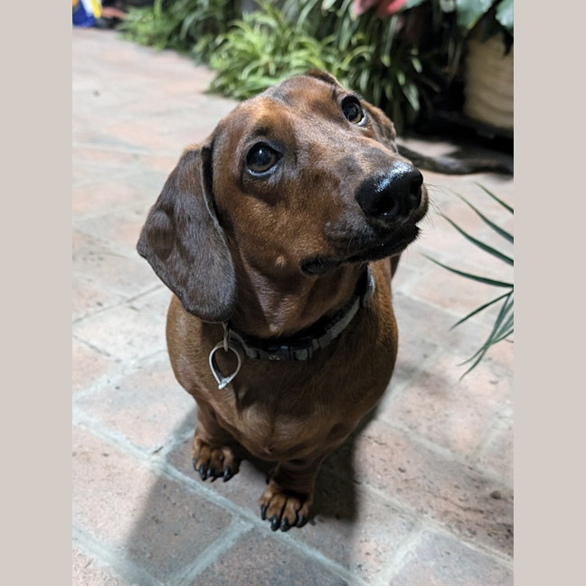 Photo of Harry / Sally