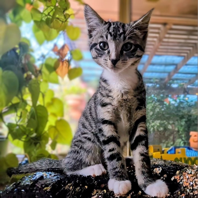 Photo of Timmy
