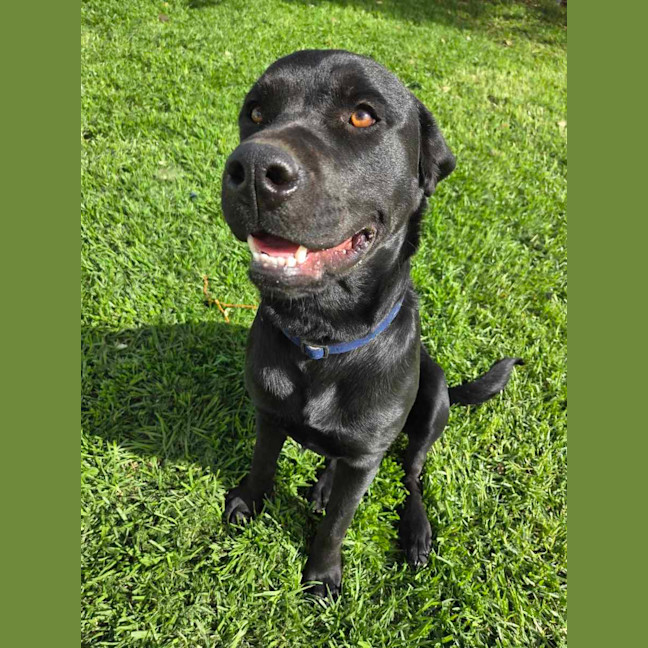 Photo of Zoe 