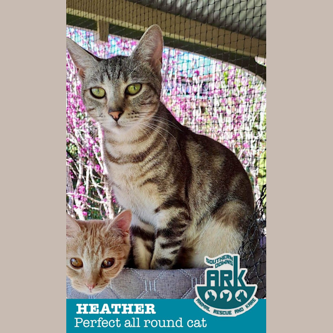 Photo of Heather 