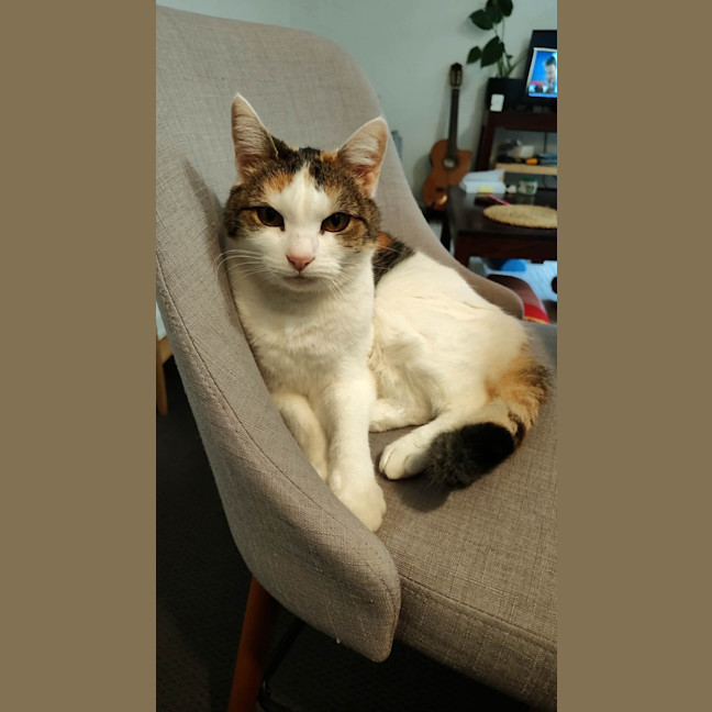 Photo of Skeeta 