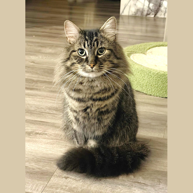 Photo of Herb