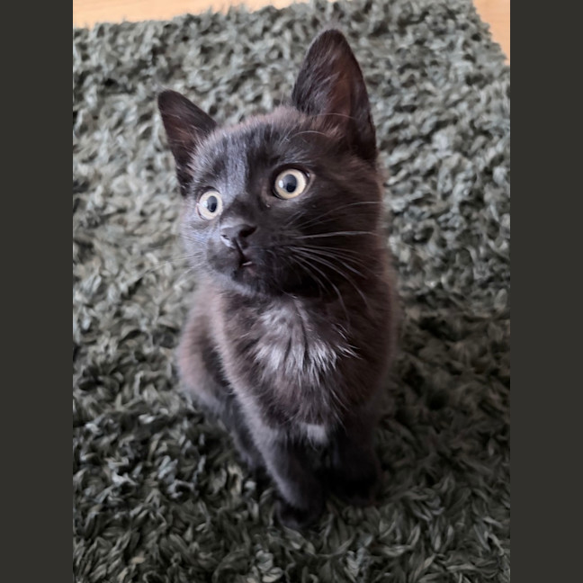 Photo of Billy