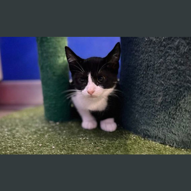 Photo of Eenie