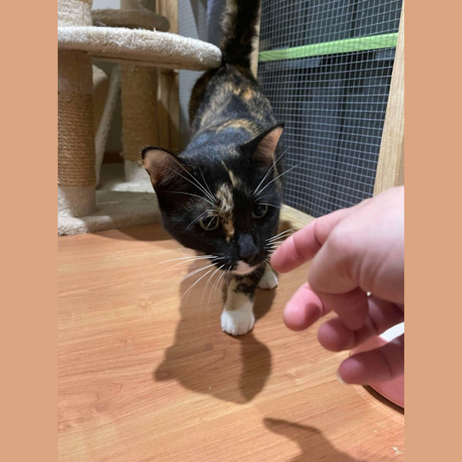 Photo of Bubbles