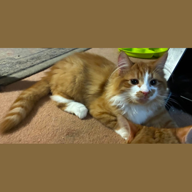 Photo of Benny