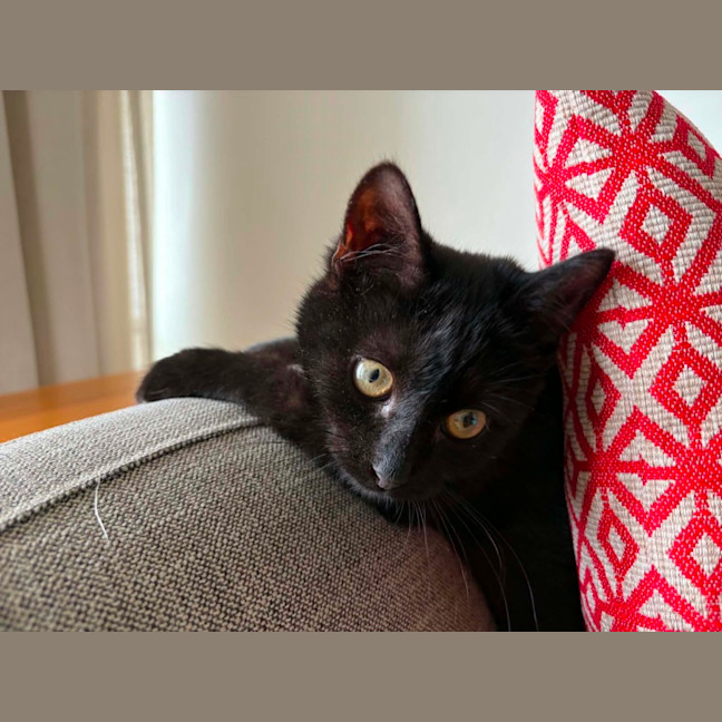 Photo of Jasper