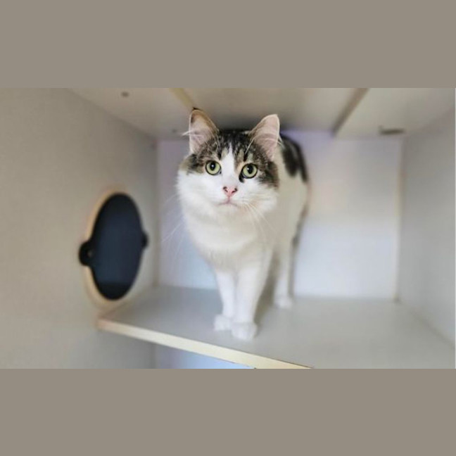 Photo of Elroy