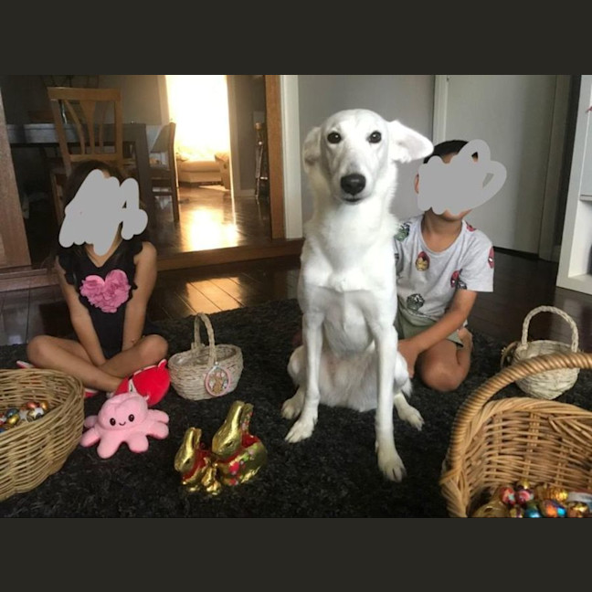 Photo of Trixie 🩷