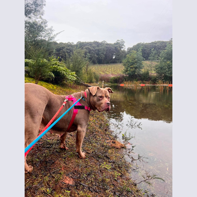 Photo of Storm