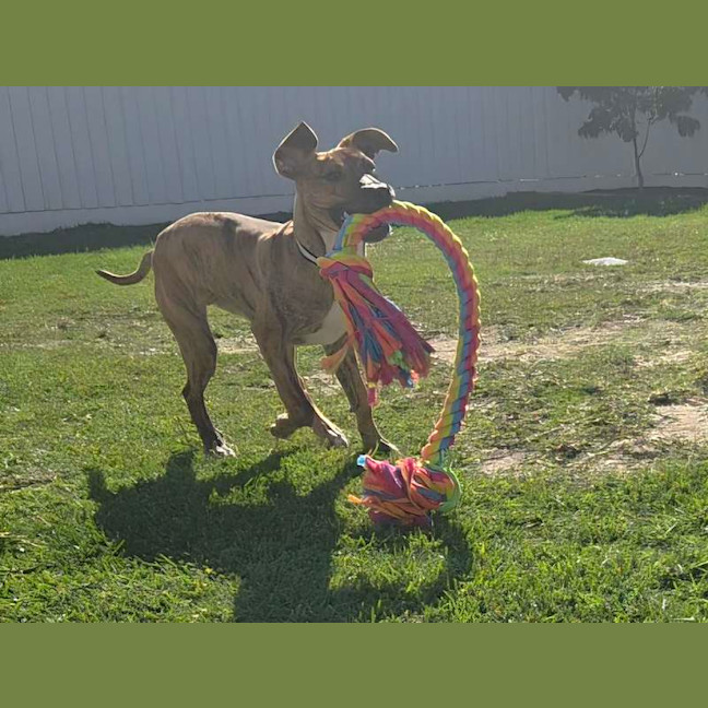 Photo of Tank