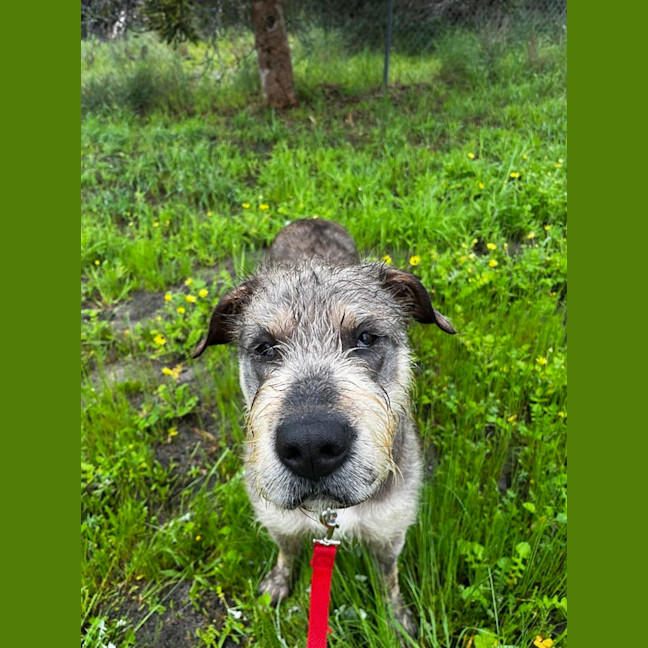 Photo of Sheila