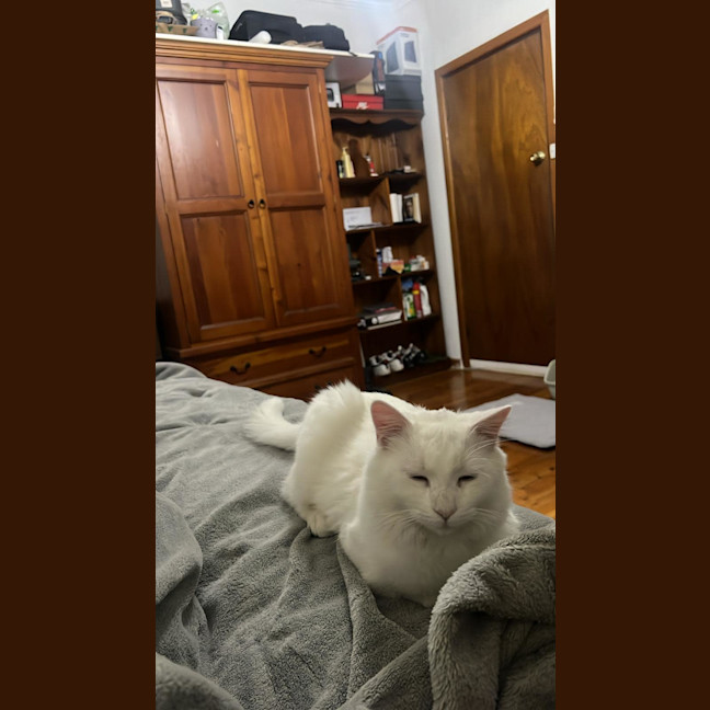 Photo of Mr Pickles