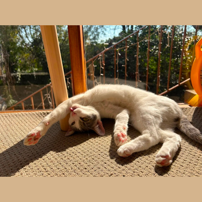 Photo of Billy