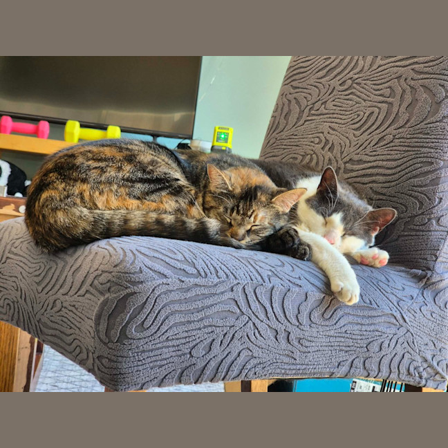 Photo of Stu / Sophie