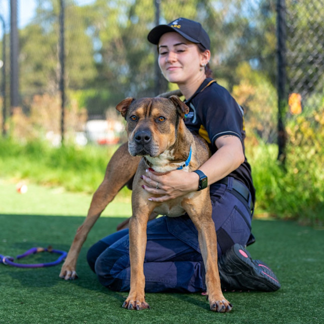 Photo of Zyron Imp 2755