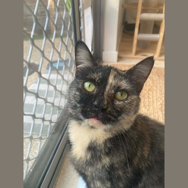 Photo of Chirp Side Park Shopping Centre