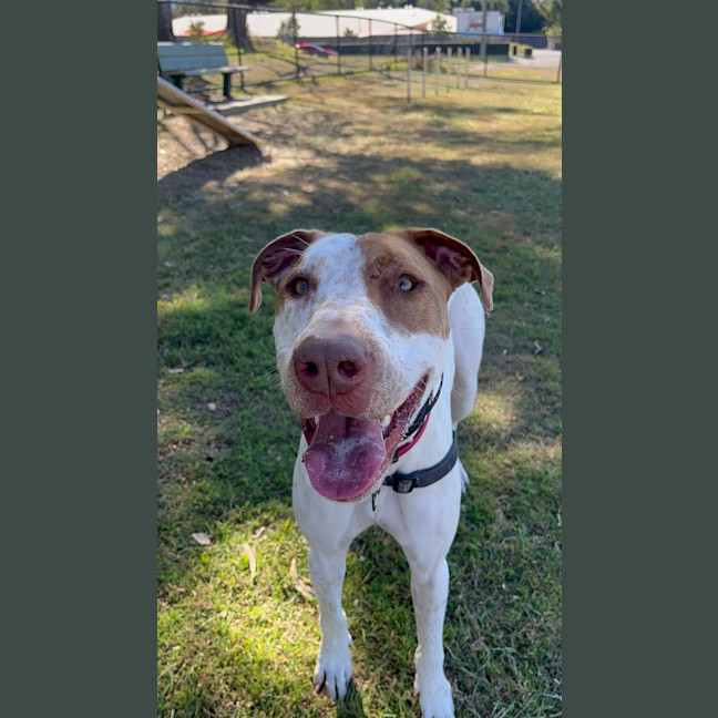 Photo of Mavis