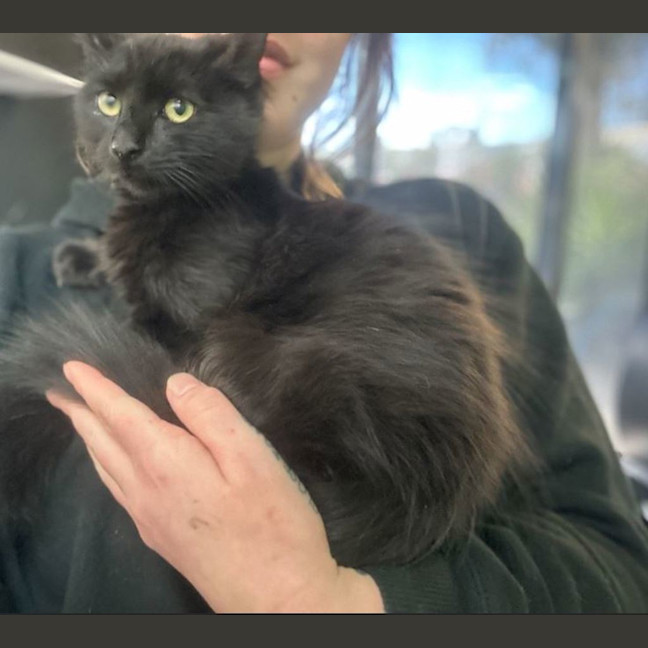 Photo of Loveheart Pasta