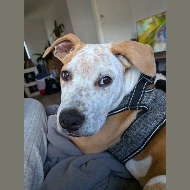 Photo of Eddie