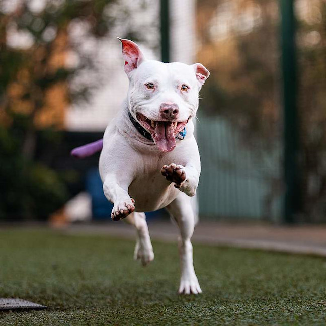 Photo of Ghost