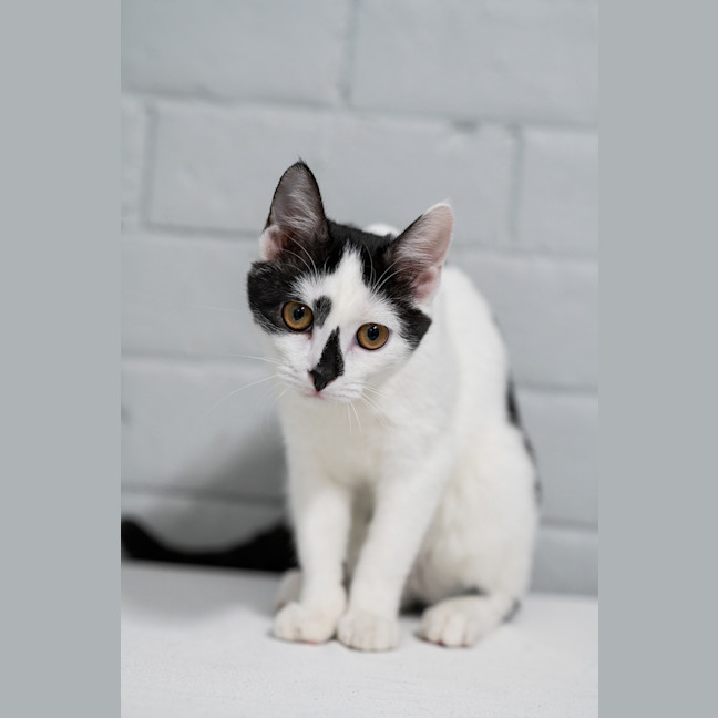 Photo of Candy