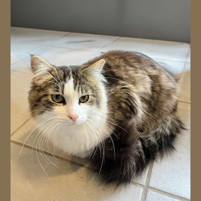 Photo of Spike