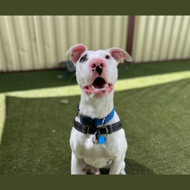 Photo of Oakley