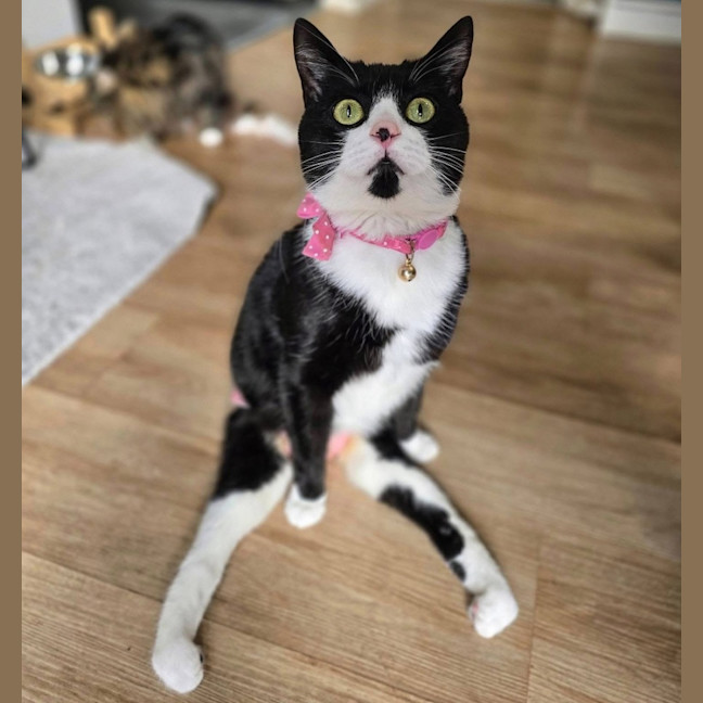 Photo of Lucy