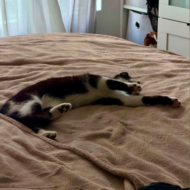 Photo of Pawla