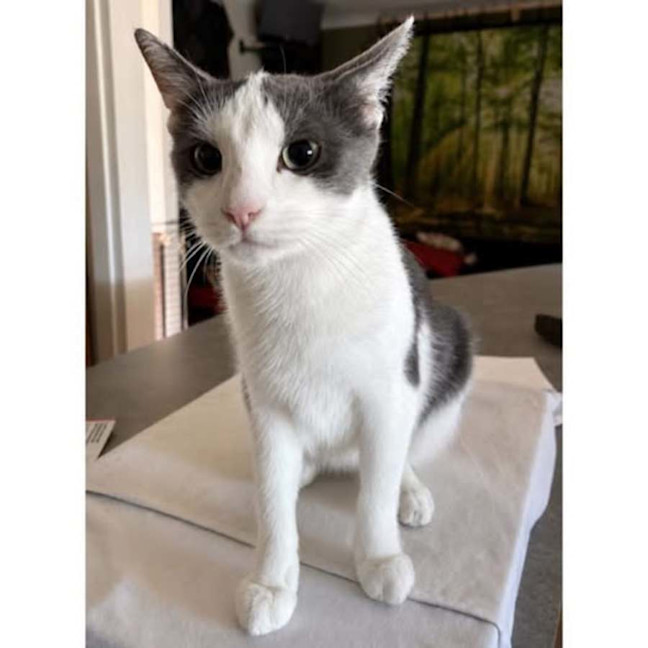 Photo of 14293   Katy Purry