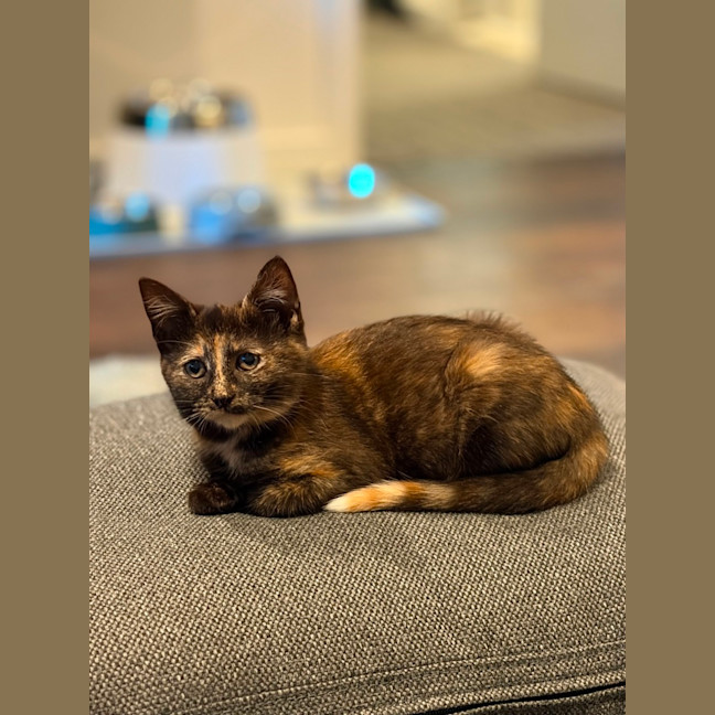 Photo of Whispa